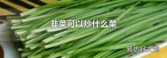 韭菜可以炒什么菜