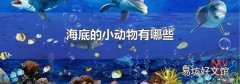 海底的小动物有哪些