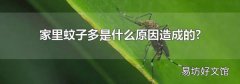 家里蚊子多是什么原因造成的?