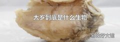 太岁到底是什么生物