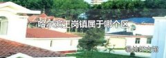 哈尔滨王岗镇属于哪个区