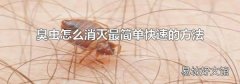 臭虫怎么消灭最简单快速的方法