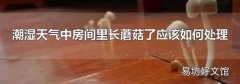 潮湿天气中房间里长蘑菇了应该如何处理