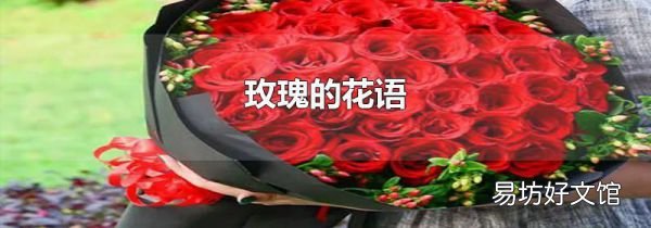 玫瑰的花語