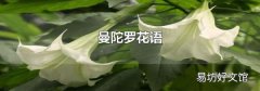 曼陀罗花语