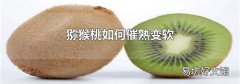猕猴桃如何催熟变软