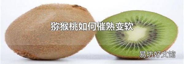 猕猴桃如何催熟变软