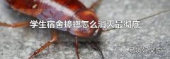 学生宿舍蟑螂怎么消灭最彻底