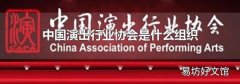 中国演出行业协会是什么组织