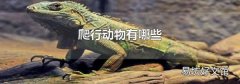 爬行动物有哪些