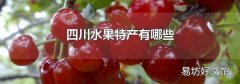四川水果特产有哪些
