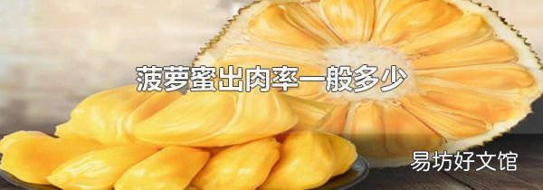 菠萝蜜出肉率一般多少