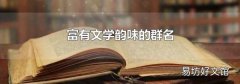 富有文学韵味的群名