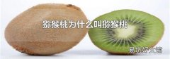 猕猴桃为什么叫猕猴桃