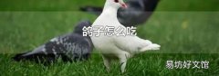 鸽子怎么吃