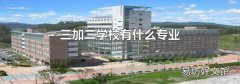 三加二学校有什么专业