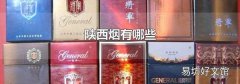 陕西烟有哪些