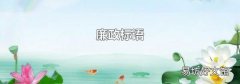 廉政标语
