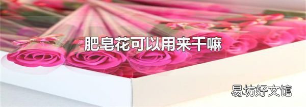 肥皂花可以用来干嘛