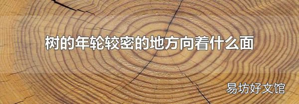 树的年轮较密的地方向着什么面
