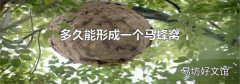 多久能形成一个马蜂窝