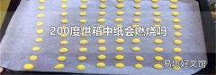 200度烘箱中纸会燃烧吗
