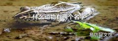 什么动物有两个名字