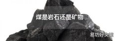 煤是岩石还是矿物