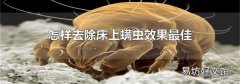 怎样去除床上螨虫效果最佳