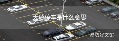 无感停车是什么意思