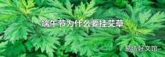 端午节为什么要挂艾草