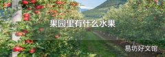 果园里有什么水果