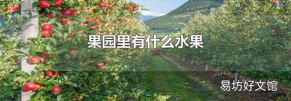 果园里有什么水果
