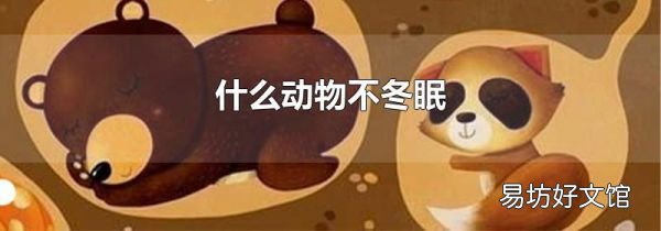 什么动物不冬眠