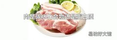 肉是碳水化合物还是蛋白质