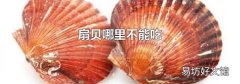 扇贝哪里不能吃