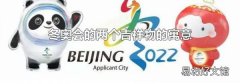 冬奥会的两个吉祥物的寓意
