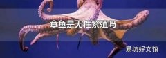 章鱼是无性繁殖吗