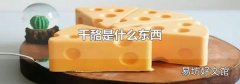 干酪是什么东西