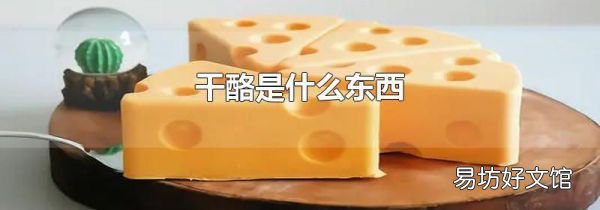 干酪是什么東西