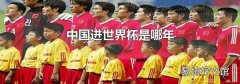 中國進(jìn)世界杯是哪年