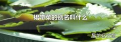 裙帶菜的別名叫什么