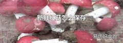 新鮮紅菇怎么保存