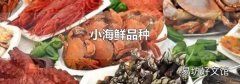 小海鮮品種