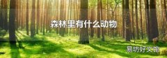 森林里有什么动物