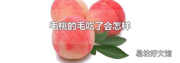 毛桃的毛吃了会怎样