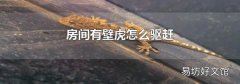 房间有壁虎怎么驱赶