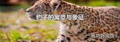 豹子的寓意与象征