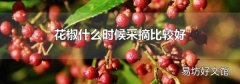 花椒什么时候采摘比较好