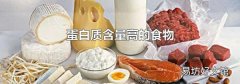 蛋白质含量高的食物